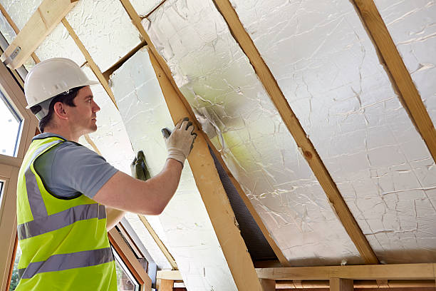 Best Cellulose Insulation in USA